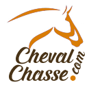 Cheval chasse